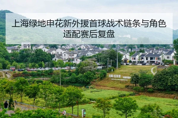 上海绿地申花新外援首球战术链条与角色适配赛后复盘